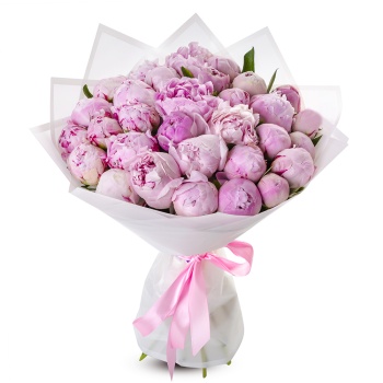 Букет из 31 розового пиона