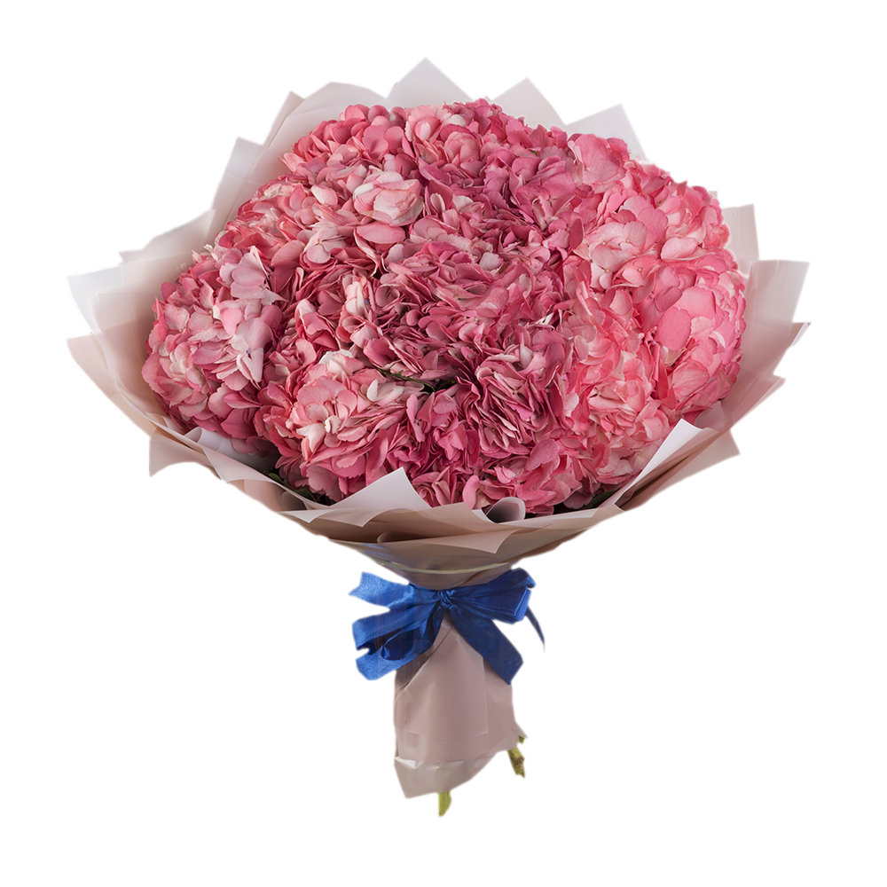 Букет из 11 розовых гортензий