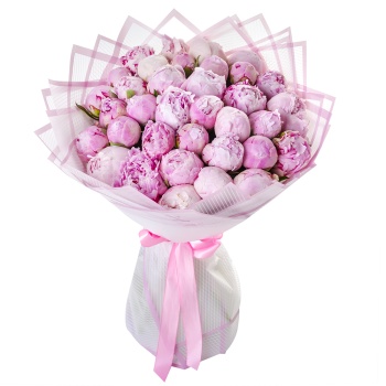 Букет из 35 розовых пионов