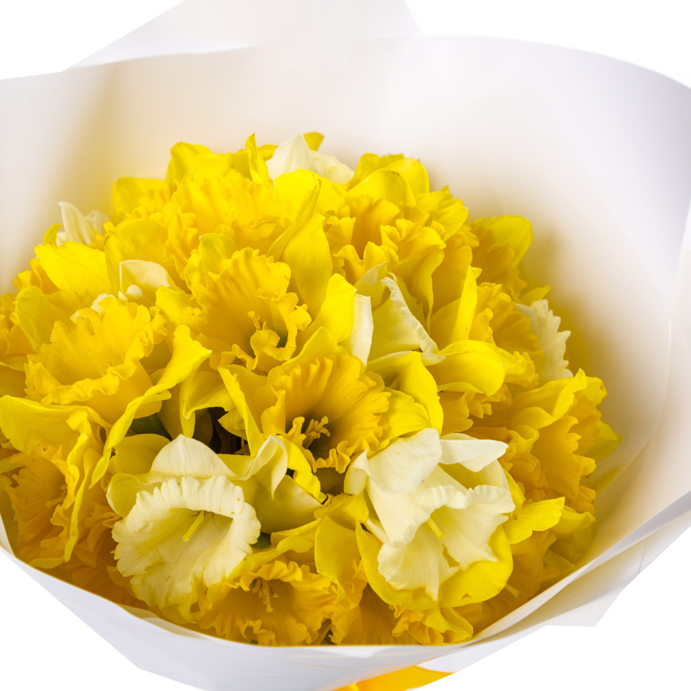 Букет из 25 нарциссов