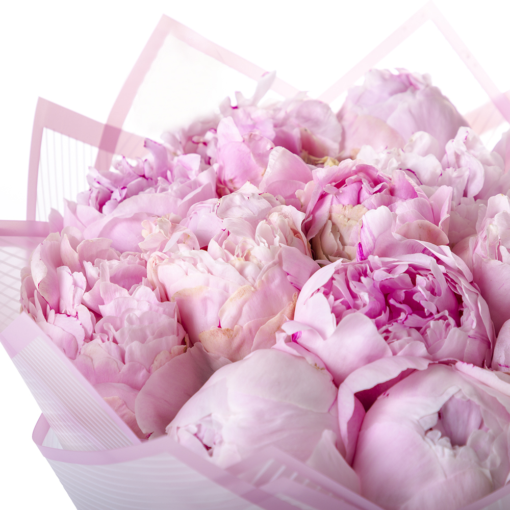 Букет из 15 розовых пионов