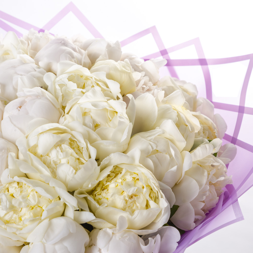 Букет из 51 белого пиона